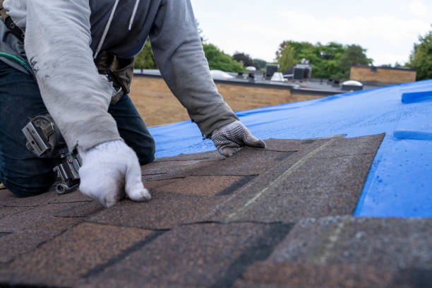 Best Storm Damage Roof Repair  in Plattsburgh West, NY